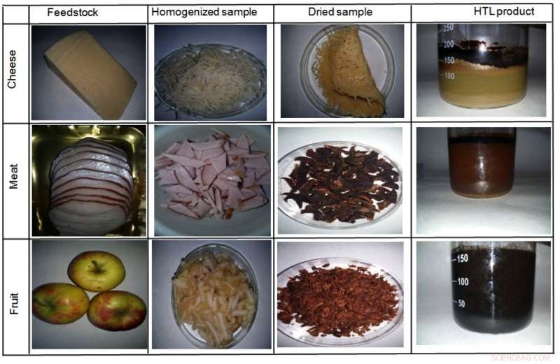Scientists Turn Food Waste into Clean Biofuel with Hydrothermal Liquefaction