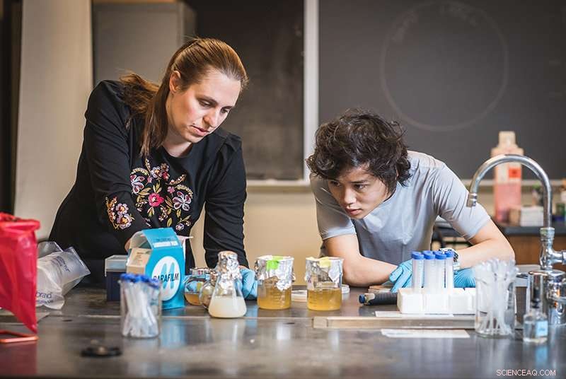 Scientists Evaluate Probiotics in Food and Supplements for Gut Health