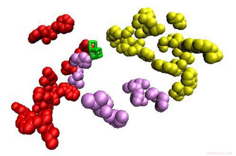Tracing Damage Pathways Reveals Water Flow in Photosystem II