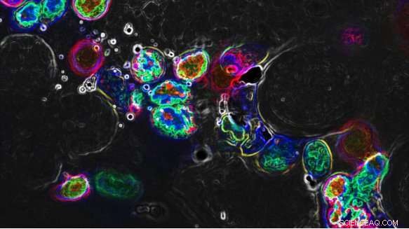 The Remarkable Energy Efficiency of Life