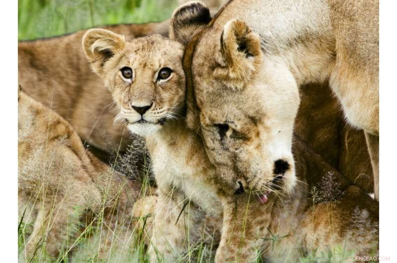 DNA Tests on the Spot: How Ports Detect Illegally Imported Endangered Species