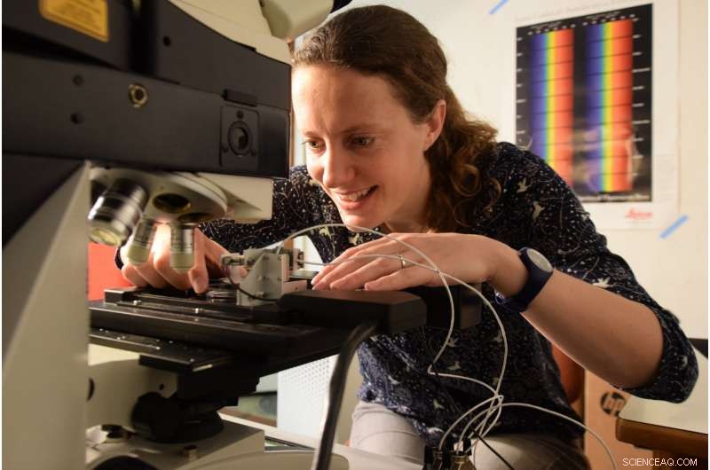 Advanced Robotic Device Tracks Cellular-Scale Plant Growth