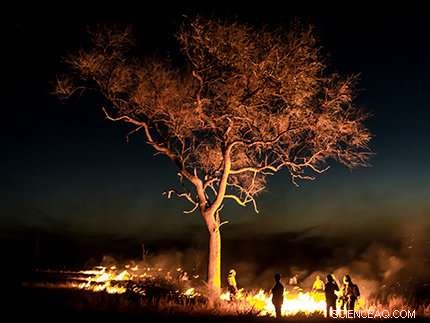Using Small Fires to Guide Grazing: A Creative Management Strategy