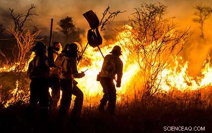 Using Small Fires to Guide Grazing: A Creative Management Strategy