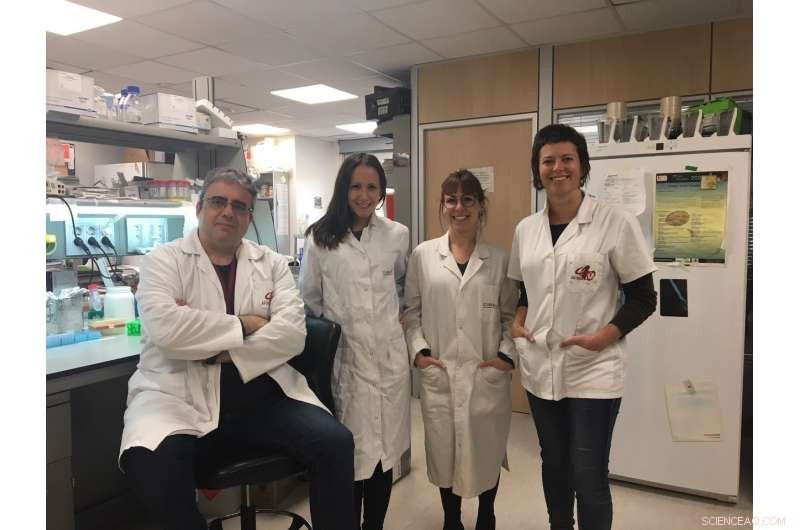 HP1 Isoforms Shape Heterochromatin: Insights from IDIBELL Researchers