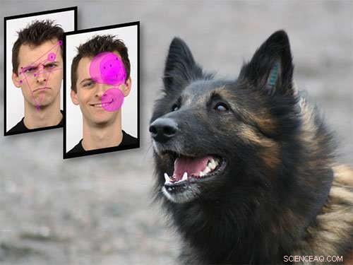 Oxytocin Makes Dogs Attracted to Smiling Human Faces