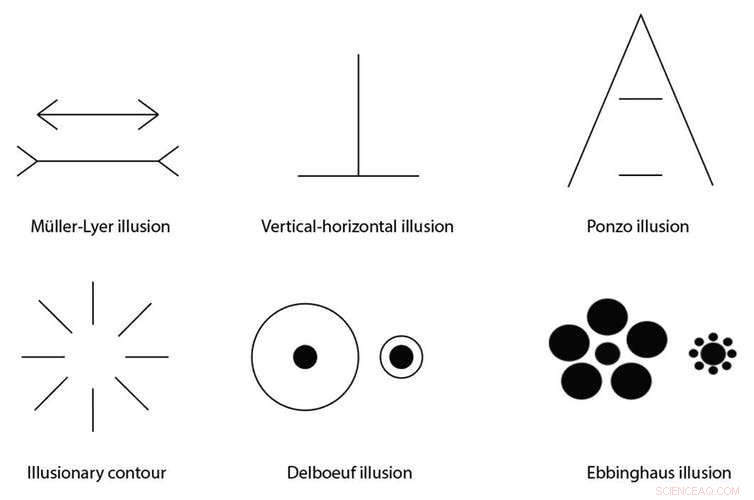 Honeybees Experience Visual Illusions Similar to Humans