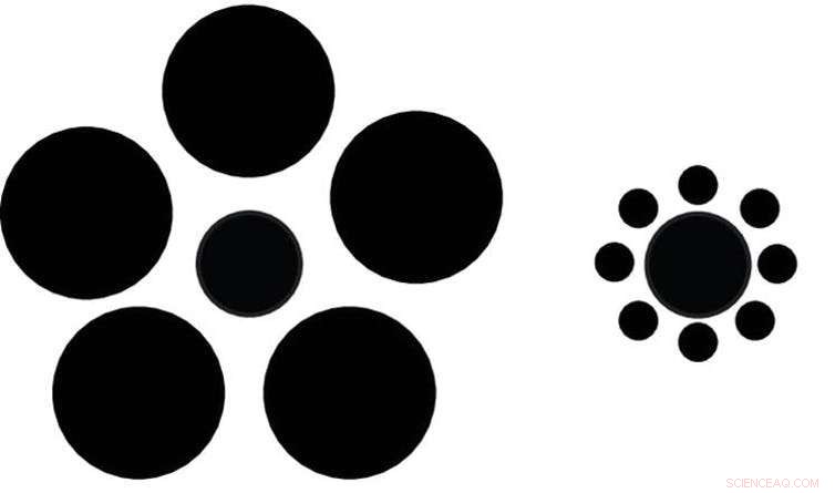Honeybees Experience Visual Illusions Similar to Humans