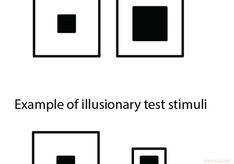 Honeybees Experience Visual Illusions Similar to Humans