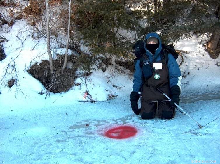 How Turtles Hibernation Works: The Role of Their Unique Breathing Adaptation