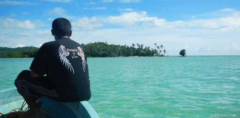 Successful Ocean Sanctuaries: Balancing Marine Life and Human Benefit