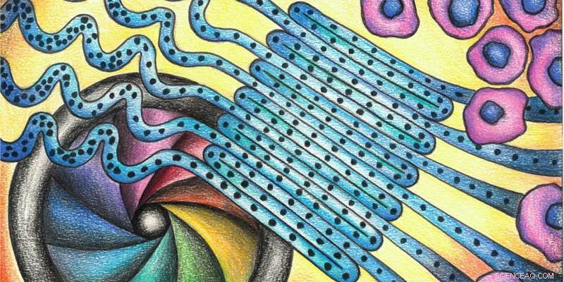 From an Apple Photo to a Cellular Breakthrough: How a Classic Image Sparked Advanced Pathogen Detection