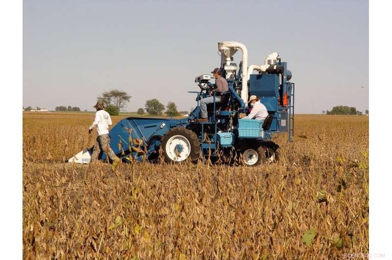 High Yield & Protein Boost Using Soybean Gene Technology