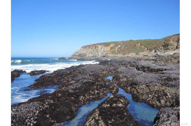 Nature’s Short‑Term Shield: Species May Seem Resilient to Climate Change