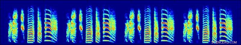 Exploring the Biological Connections Between Birdsong and Human Speech