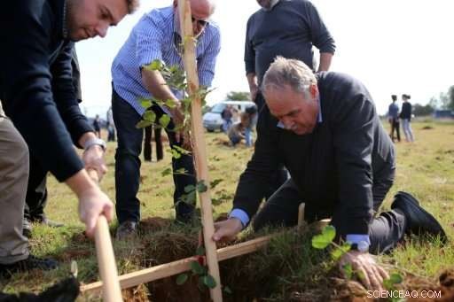 Cyprus Plants 6,000 Carob Trees to Reclaim Its  Black Gold  Heritage