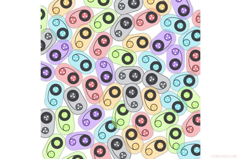 Scientists Build the Smallest Tape Recorder Using Microbes