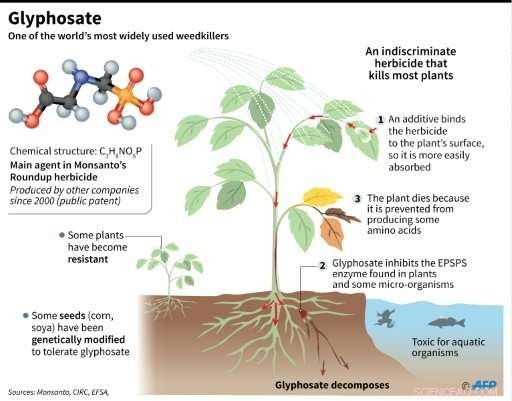 EU Breaks Deadlock, Grants Renewal of Glyphosate Licence Amid Controversy