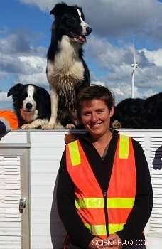 Dogs Detect Rare Species by Sniffing Poo – Boosting Conservation Efforts