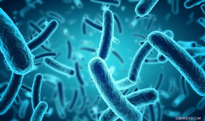 Dark Matter Discoveries Could Illuminate New Treatments for Diseases