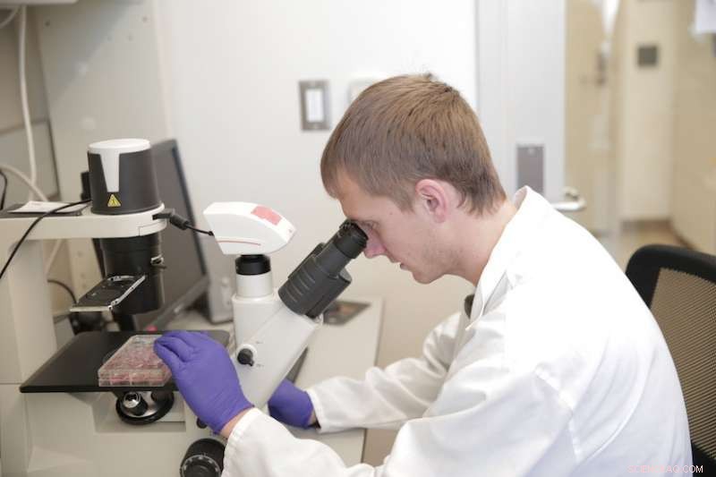 New All-in-One Repair Kit Enhances Precision of CRISPR Gene Editing