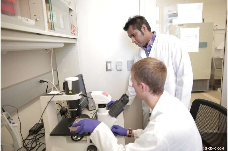 New All-in-One Repair Kit Enhances Precision of CRISPR Gene Editing