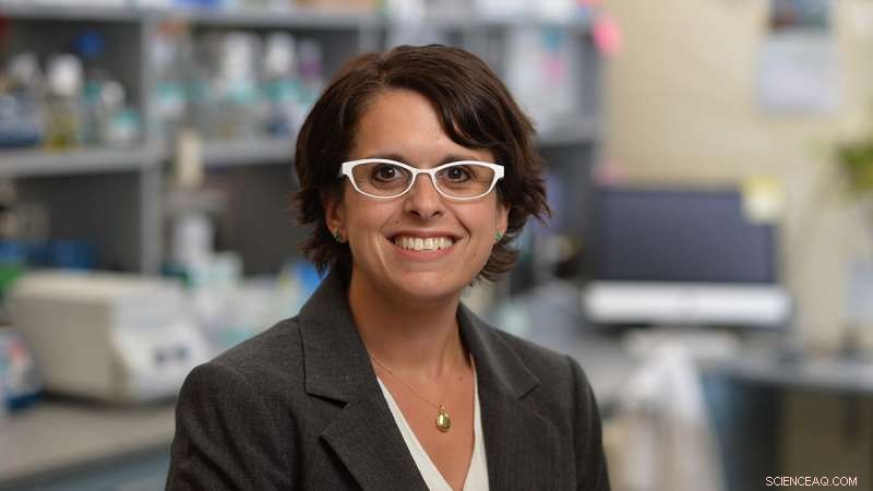 New Research Shows Mycobacteria Detect Disease-Causing Proteins