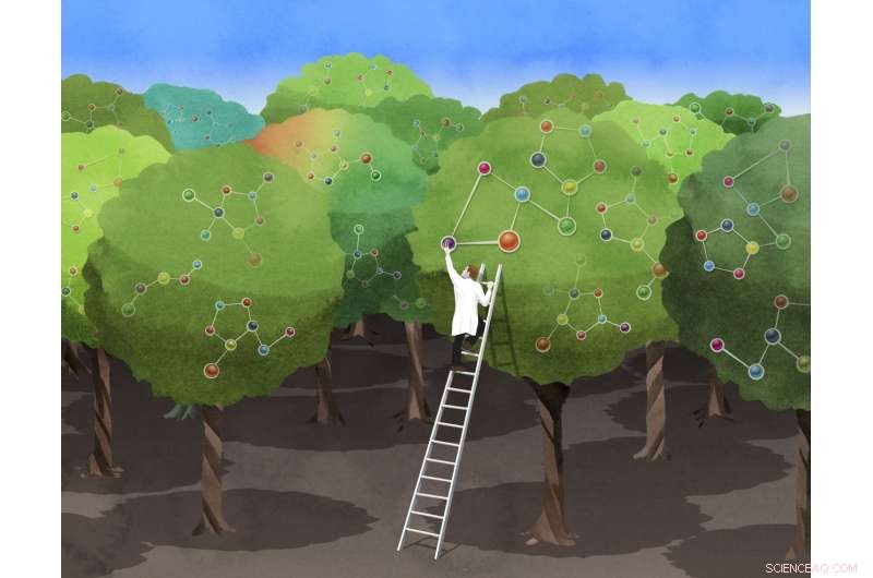 Whitehead Institute Uncovers Key Protein s Role in Plant Biotechnology