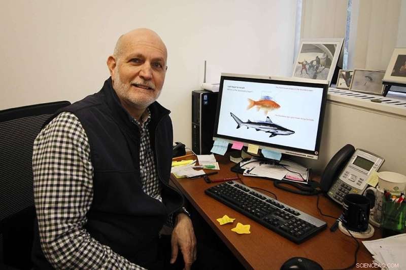 Sharks Evolve Aircraft-Like Features to Thrive in Diverse Habitats