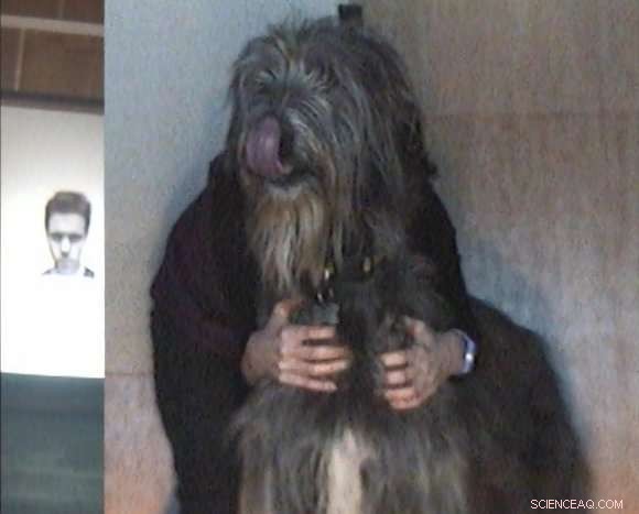 How Dogs Use Licking to Respond to Human Anger