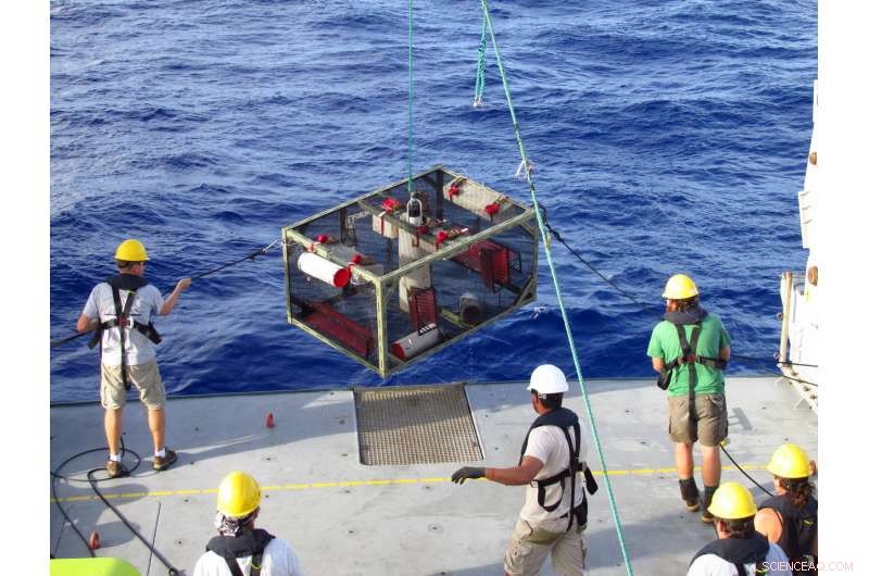 Unveiling the Mariana Snailfish: The Ocean s Deepest Survivor