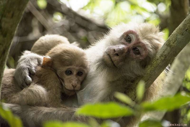 New Study Links Maternal Stress During Pregnancy to Reduced Baby Size