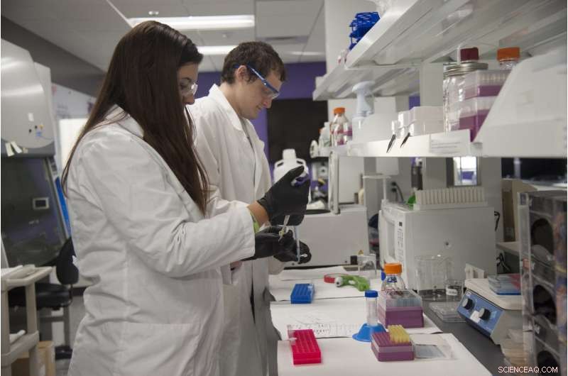 Kansas State Research Offers New Protection for Piglets Against PRRS During Pregnancy