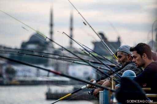 Istanbul Anglers Preserve Tradition Amidst Alarming Fish Stock Declines