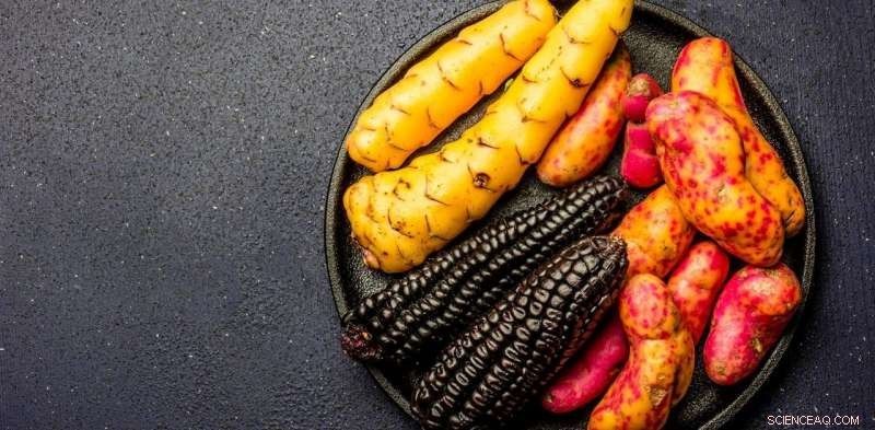 Reduced Crop Diversity Puts Global Food Security at Risk