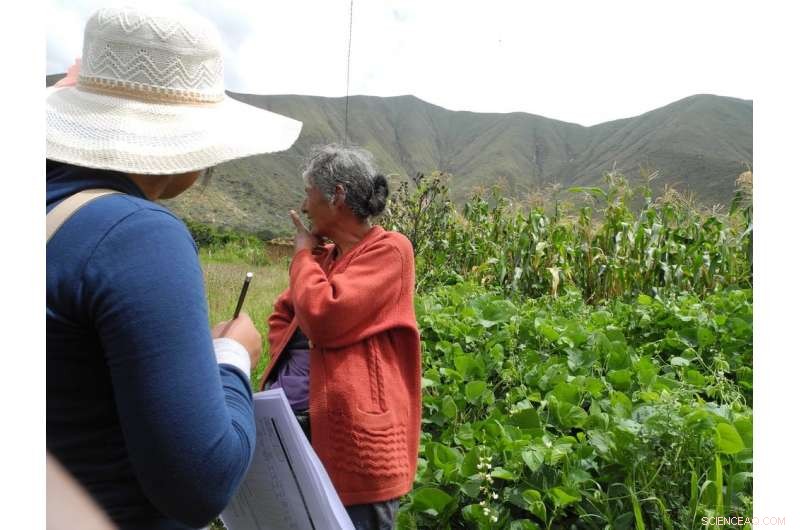 Reduced Crop Diversity Puts Global Food Security at Risk