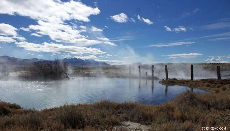 Ancient Single‑Cell Bacteria Discovered in Hot Spring: Earth s First Life Revealed