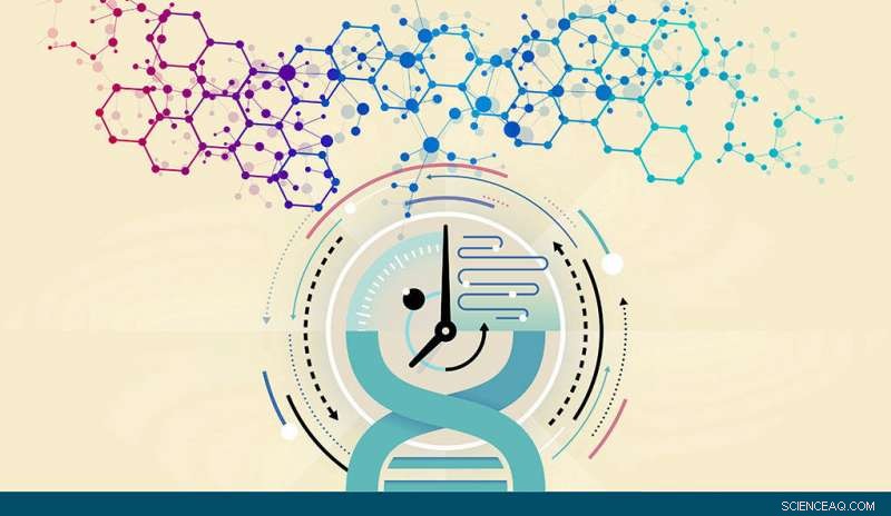 Yale Researchers Unveil New Chemical Compounds That Extend Yeast Lifespan