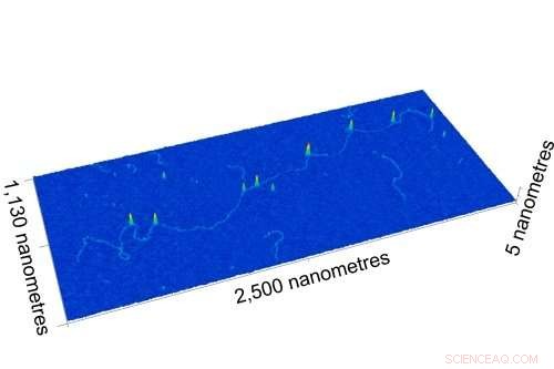 Groundbreaking Nanomapping Microscope with CRISPR Labelling Reveals DNA Mutations