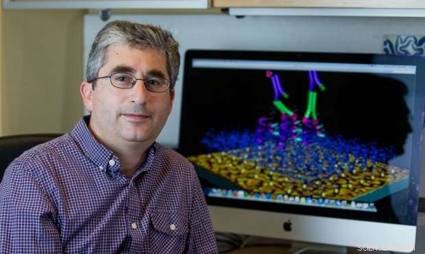 Fat Cell Stem Cells Possess Their Own Circadian Clock, Influencing Metabolism