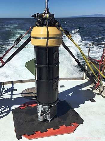 Counting West Coast Rockfish with MBARI’s Dual‑Camera Observation System