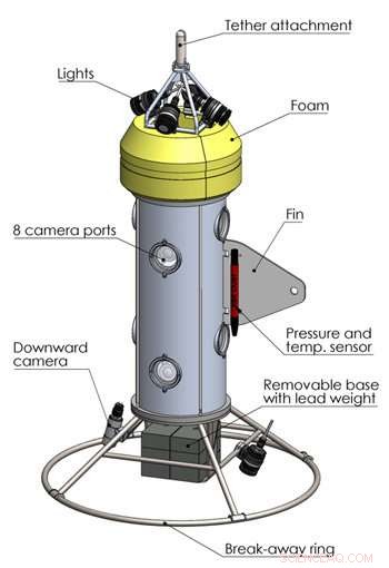 Counting West Coast Rockfish with MBARI’s Dual‑Camera Observation System