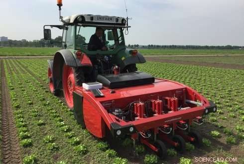 Vision Systems Enable Precise Intra‑Row Weeding