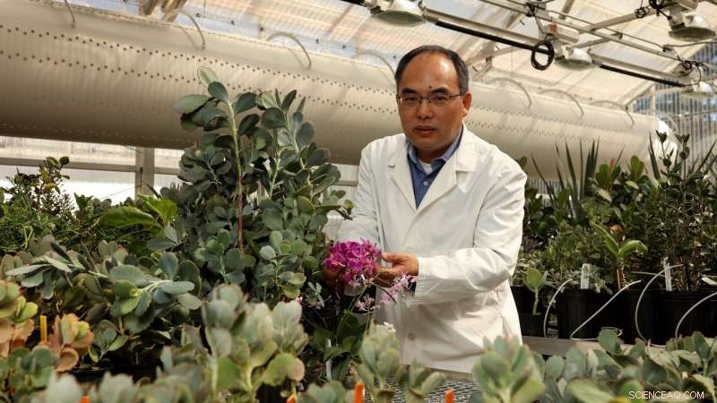 Harnessing Drought-Resistant Genes to Accelerate Water-Efficient Crop Development