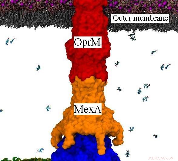 Computer Simulations Reveal the Root Causes of Drug Resistance