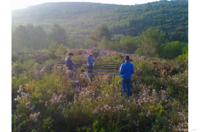 Decoding Climate Change Patterns: Insights & Forecasts