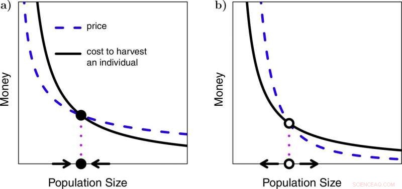 Escalating Prices of Rare Animal Products Accelerate Species Extinction
