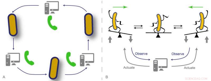 Harnessing Computerized Biology: Precision Control of Cellular Populations