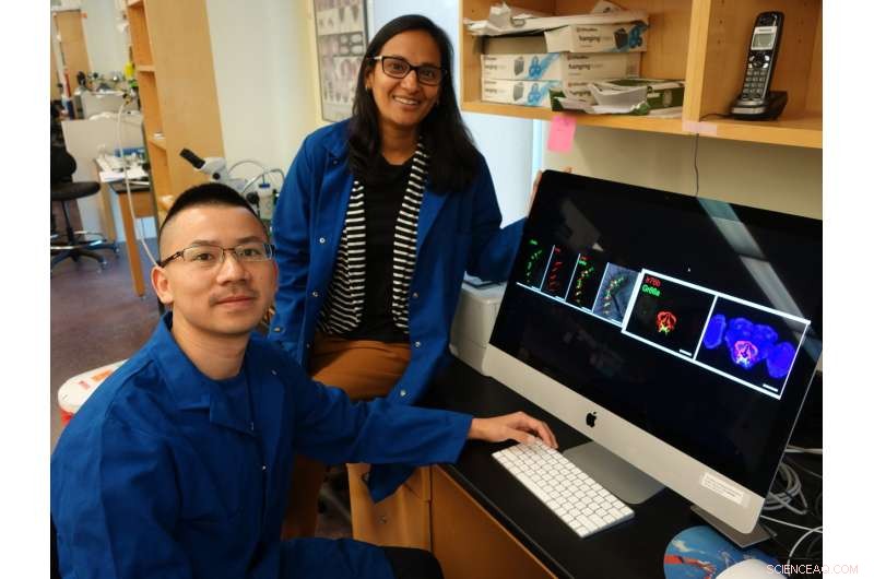 Scientists Demonstrate How to Manipulate Insect Food Choices