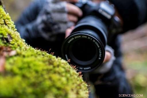 Indonesian Selfie‑Snapping Monkey Crowned Person of the Year